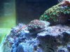 100_0429.JPG