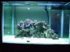 updatepics1.jpg