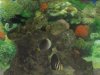stuff 010 is a big.jpg