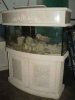 fish tank.jpg
