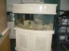 fish tank 1.jpg