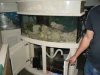 fish tank 2.jpg