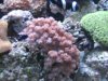 IMG_0190.JPG