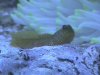 DSC00071.JPG