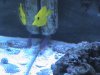 DSC00112.JPG