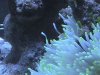 DSC00087.JPG