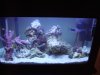 DSC00893.JPG