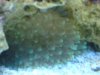 DSC00915.JPG