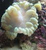 IMG_0404.JPG
