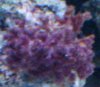 j 042.JPG