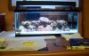 100_0408.JPG