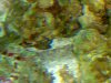 28042008062.jpg