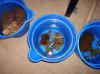 DSC00747.JPG