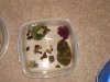 DSC00752.JPG