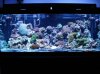 DSC00766.JPG