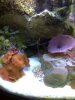 IMG-20110412-00031.jpg