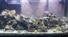 2012-01-20_18-23-04_700.jpg