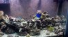 2012-01-20_18-23-43_557.jpg