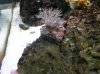 Xenia%20Hitchhiker%202.jpg