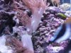 2012-02-01 18.23.22.jpg