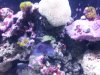 2012-02-04 11.18.09.jpg