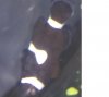 nemo.JPG