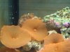 DSC04551.jpg