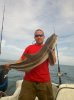Cobia.jpg