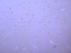 DSCN5628.jpg