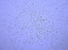 DSCN5632.jpg