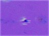 DSCN5628.jpg