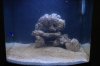 metal halide only.JPG