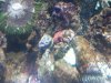 uploadfromtaptalk1329101225342.jpg