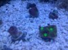 IMG_20120215_173954.jpg