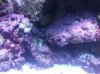 2012-02-16 13.47.58.jpg