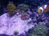 2012-02-16 13.47.34.jpg