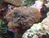DSC04631.JPG