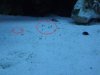 DSCF0258.JPG