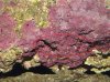 DSCF0261.jpg