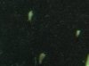 421306_10150579893476032_538561031_9418753_1915425391_n.jpg