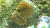 DSCN0392.jpg
