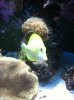 IMG_1464.jpg