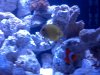 2012-02-22_22-17-25_207.jpg
