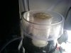 IMG_20120223_152531.jpg