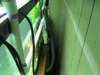 Picture 003.jpg