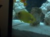 2012-02-23_17-48-38_112.jpg