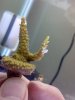 2012-02-26_13-53-22_741.jpg