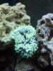 2012-02-26_12-29-43_182.jpg