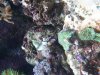 uploadfromtaptalk1330392032259.jpg