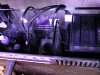 DSCN1710.jpg